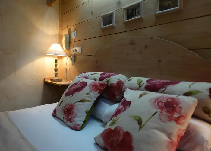 Hôtel accueillant les animaux: Hôtel Le Glacier