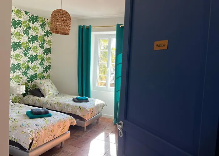 Hôtel accueillant les animaux: Effets Personnels